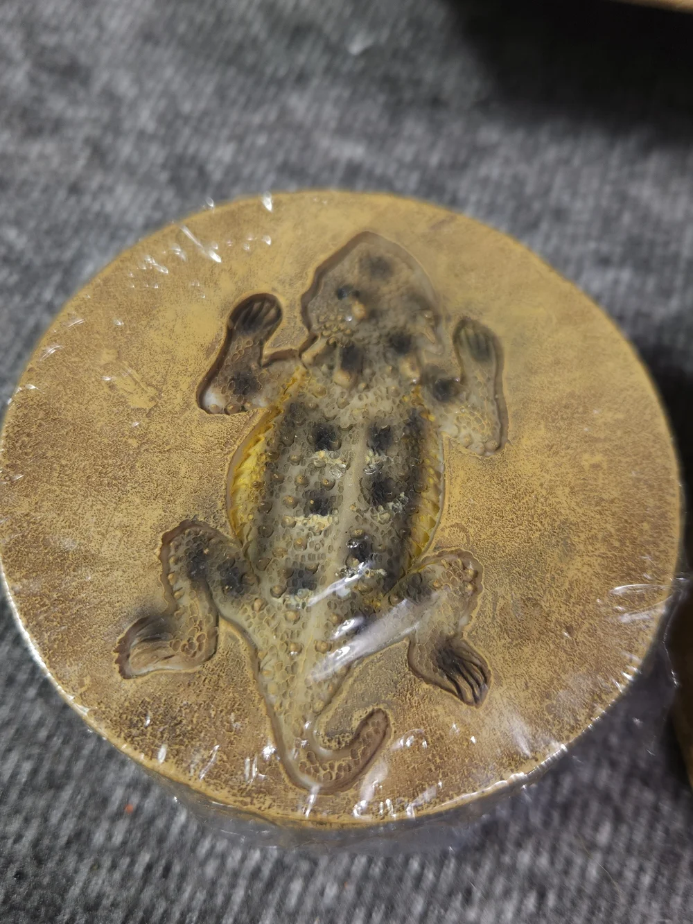 The Unbranded Brand brown reptile